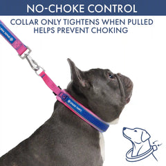 Martingale Collar and Multipurpose Leash Set - Snow Cone