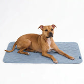 Frostcoreâ„¢ Cooling Mat - Hearts Ash Blue
