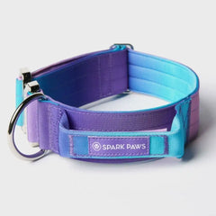 Comfort Control Dog Collars