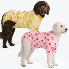 Dog Surgical Suit (2-pack) - Pink Hearts and Sunshine