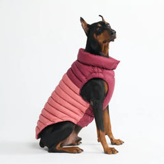 PuffShield Winter Jacket - Red