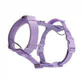 Comfort Controlâ„¢ No-Pull Dog Harness - Lilac