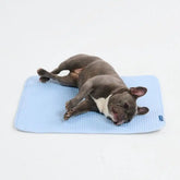 Frostcoreâ„¢ Cooling Mat - Waffle Blue