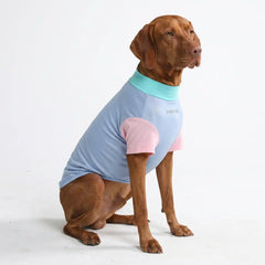 Sunblock Dog T-Shirt - Sorbet