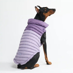 PuffShield Winter Jacket - Purple