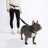 Multipurpose Seatbelt Handsfree Leash & Poop Bag Holder Set - Black