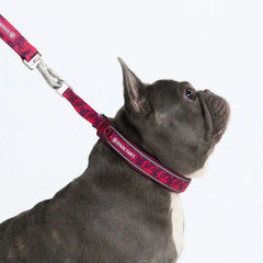 Cushioned Martingale Collar - Fuchsia Camo