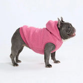 Teddy Sherpa Dog Jackets