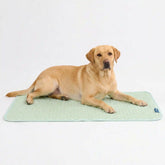 Frostcoreâ„¢ Cooling Mat - Orb Green