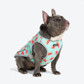 Dog Cooling Vest - Watermelon