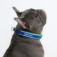 Cushioned Martingale Collar - Lime Wave