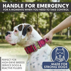 Comfort Control Collar and Multipurpose Leash Set - Fuchsia Camo