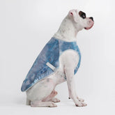 Dog Cooling Vest - Ice Blue (2)