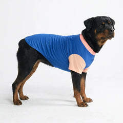 Sunblock Dog T-Shirt - Blue Hawaiian