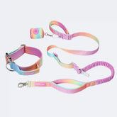 Comfort Control Collar and Multipurpose Leash Sets