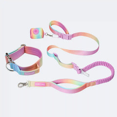 Comfort Control Collar and Multipurpose Leash Set - Pastel Icing
