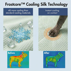 Frostcore™ Cooling Couch Cover Dog Bed and Cooling Mat Set - Orb Green