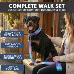 Comfort Control Dog Collar Sets