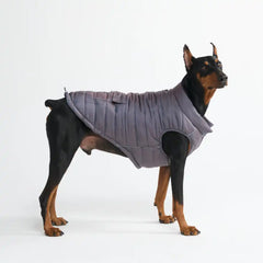 WarmShield Water-Resistant Jacket - Gunmetal Grey