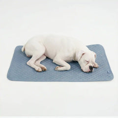 Frostcore™ Cooling Mat - Ash Blue (2)