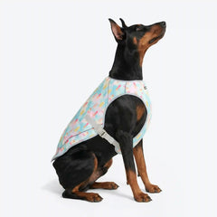 Dog Cooling Vest - Popsicles