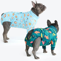 Dog Surgical Suit (2-pack) - Breakfast Blue and Dinosaurs