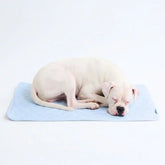 Frostcoreâ„¢ Cooling Mat - Hearts Blue