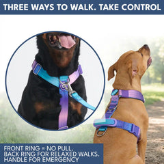 Comfort Control No-Pull Dog Harness and Multipurpose Leash Set - 90s Retro