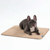 Frostcoreâ„¢ Cooling Mat - Waffle Brown