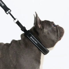 Cushioned Martingale Collar - Black