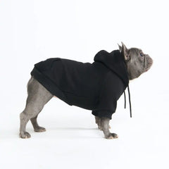 Essential Dog Hoodie - Black