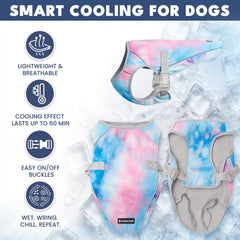 Dog Cooling Vest (2-pack) - Ice Blue & Snow Cone