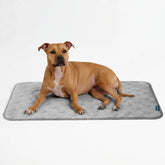 Frostcoreâ„¢ Cooling Mat - Hearts Grey