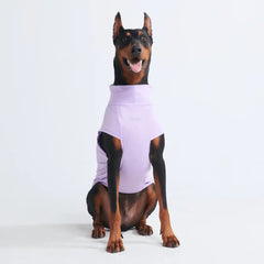 Sunblock Dog T-Shirts