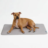 Frostcoreâ„¢ Cooling Mat - Waffle Grey