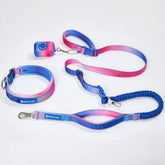 Martingale Collar and Multipurpose Leash Set - Snow Cone