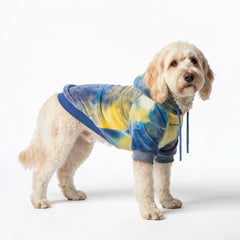 Velvet Dog Hoodie - Nova