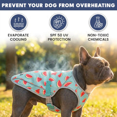 Dog Cooling Vest (2-pack) - Popsicles & Watermelon