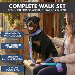 Comfort Control Collar and Multipurpose Leash Set - 90s Retro
