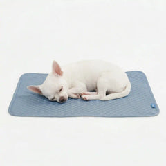 Frostcore™ Cooling Mat - Ash Blue (2)