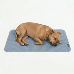 Frostcore™ Cooling Mat - Waffle Ash Blue