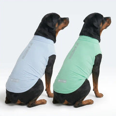 Sunblock Dog T-Shirt (2-pack) - Blue Mint