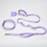 Martingale Collar and Multipurpose Leash Set - Lilac