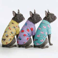 Sunblock Dog T-Shirt (3-pack) - Bees, Flamingo, Berries