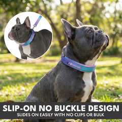 Martingale Collar and Multipurpose Leash Set - 90s Retro