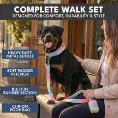 Comfort Control Collar and Multipurpose Leash Sets