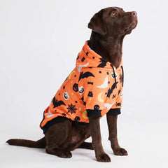 Halloween Dog Hoodie - Orange (2)