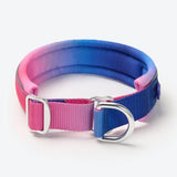 Cushioned Martingale Collar - Snow Cone