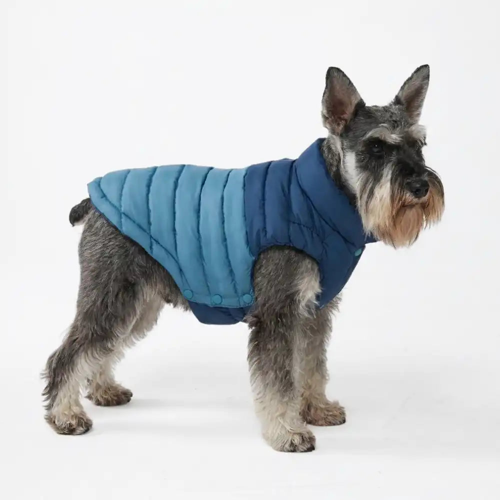 PuffShield Winter Jacket - Blue