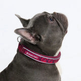 Cushioned Martingale Collar - Fuchsia Camo